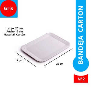 BANDEJA CARTON GRIS REC N°2 x 100u